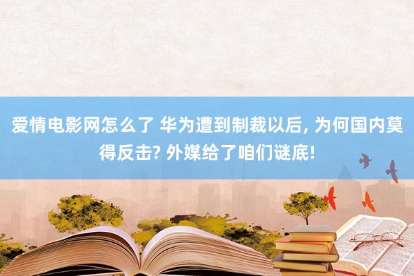 爱情电影网怎么了 华为遭到制裁以后， 为何国内莫得反击? 外媒给了咱们谜底!