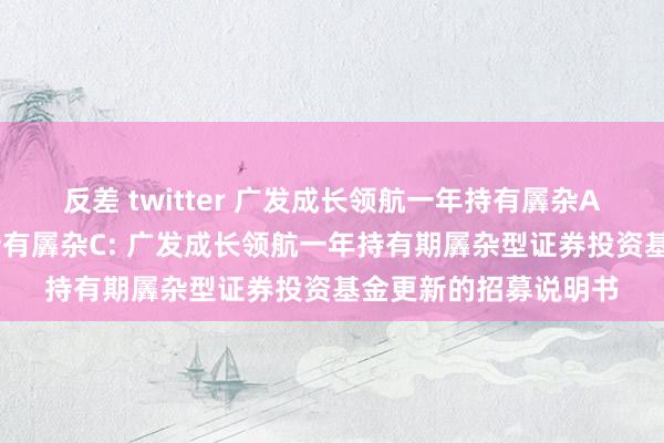 反差 twitter 广发成长领航一年持有羼杂A，广发成长领航一年持有羼杂C: 广发成长领航一年持有期羼杂型证券投资基金更新的招募说明书