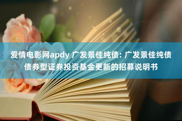 爱情电影网apdy 广发景佳纯债: 广发景佳纯债债券型证券投资基金更新的招募说明书