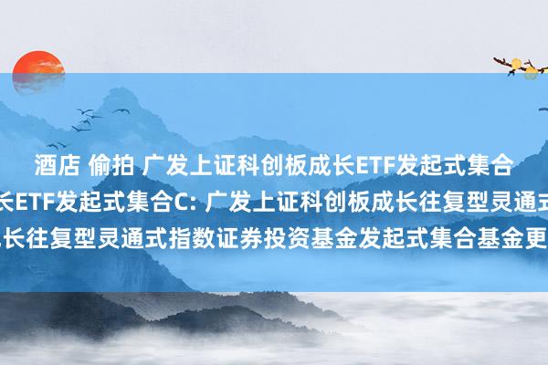 酒店 偷拍 广发上证科创板成长ETF发起式集合A，广发上证科创板成长ETF发起式集合C: 广发上证科创板成长往复型灵通式指数证券投资基金发起式集合基金更新的招募说明书