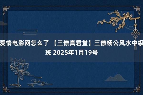 爱情电影网怎么了 【三僚真君堂】三僚杨公风水中级班 2025年1月19号