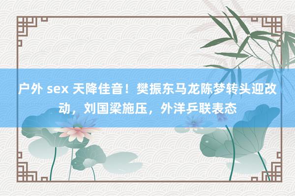 户外 sex 天降佳音！樊振东马龙陈梦转头迎改动，刘国梁施压，外洋乒联表态