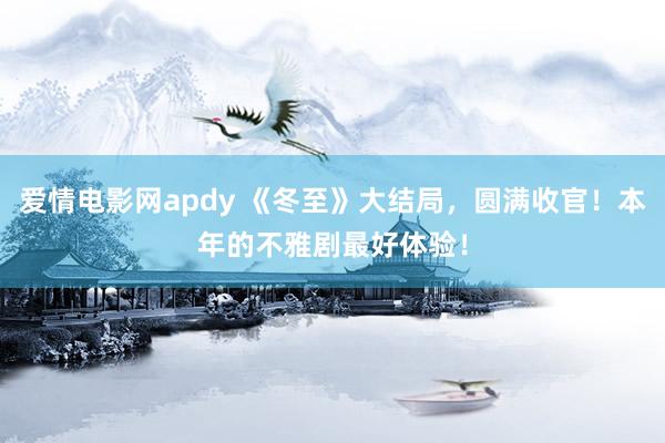 爱情电影网apdy 《冬至》大结局，圆满收官！本年的不雅剧最好体验！