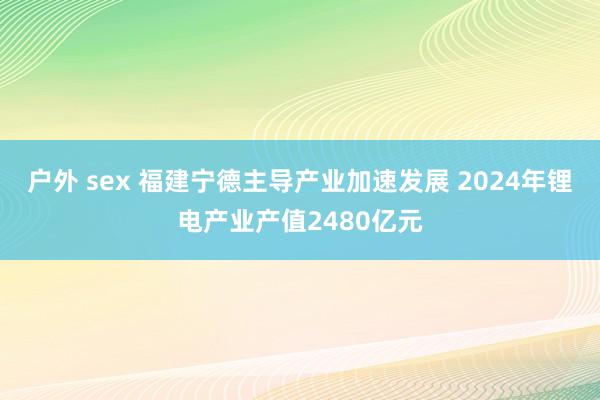 户外 sex 福建宁德主导产业加速发展 2024年锂电产业产值2480亿元