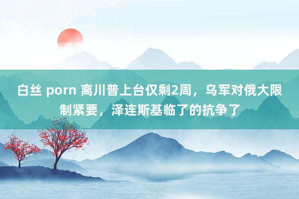 白丝 porn 离川普上台仅剩2周，乌军对俄大限制紧要，泽连斯基临了的抗争了