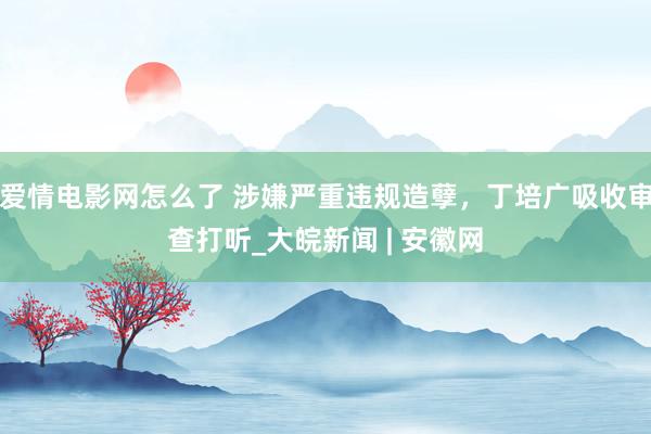 爱情电影网怎么了 涉嫌严重违规造孽，丁培广吸收审查打听_大皖新闻 | 安徽网