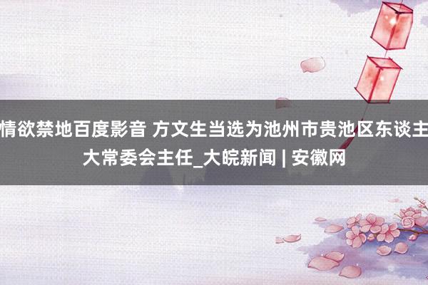 情欲禁地百度影音 方文生当选为池州市贵池区东谈主大常委会主任_大皖新闻 | 安徽网