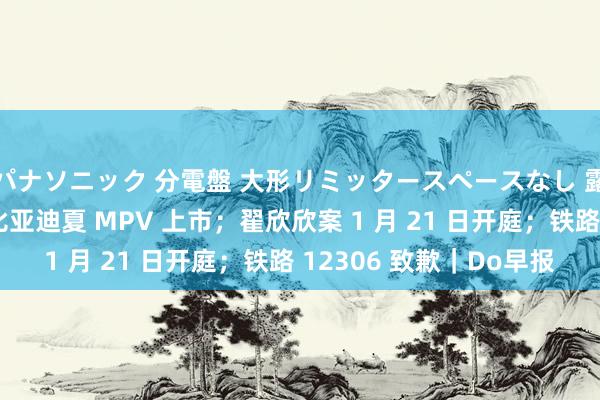 パナソニック 分電盤 大形リミッタースペースなし 露出・半埋込両用形 比亚迪夏 MPV 上市；翟欣欣案 1 月 21 日开庭；铁路 12306 致歉｜Do早报