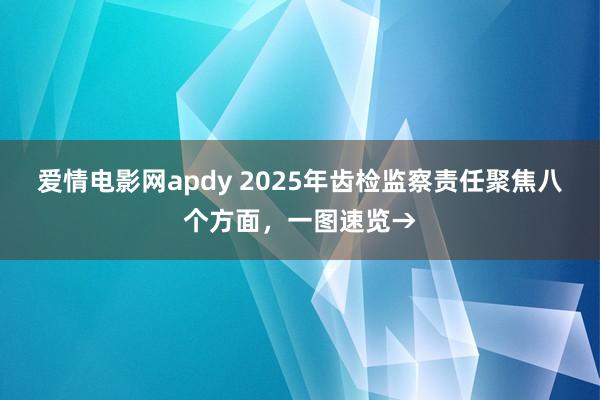 爱情电影网apdy 2025年齿检监察责任聚焦八个方面，一图速览→