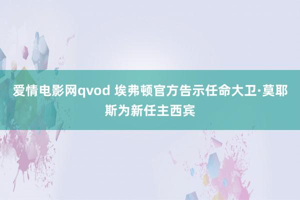 爱情电影网qvod 埃弗顿官方告示任命大卫·莫耶斯为新任主西宾