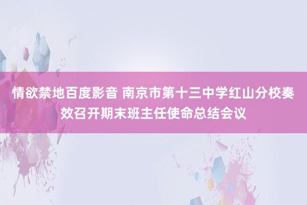 情欲禁地百度影音 南京市第十三中学红山分校奏效召开期末班主任使命总结会议